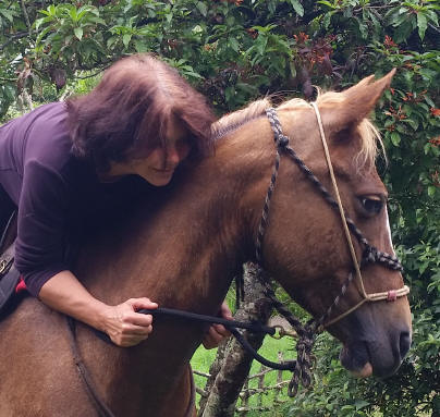 Sabine's Smiling Horses