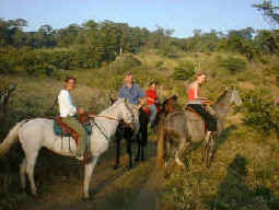Horseback Riding Tour in Monteverde Costa Rica at sunset