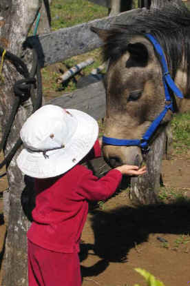 Tara+horse Pitufa