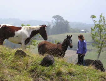 Monteverde Costa Rica horses and children