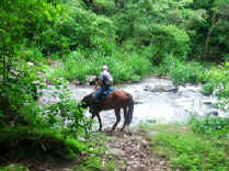 Horseback ride to the Waterfall in Monteverde