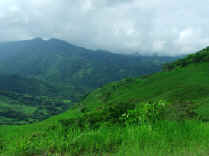 horseback to the waterfall Monteverde
