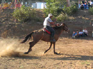horse festival Monteverde
