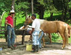 volunteering Costa Rica Monteverde