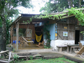 horse farm stay Mnteverde Costa Rica