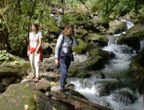 hike in the forest on waterfall-horseback-riding-tour 