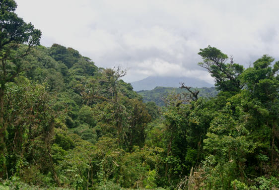 Arenal Volcano Lookout point