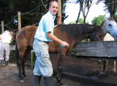 Volunteer Scott at Sabine's Smiling Horses