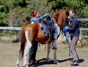 first mount Shirocco 2010