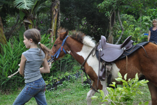 first saddle expereince at Smiling Horses