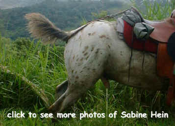 horseback riding photo gallery
