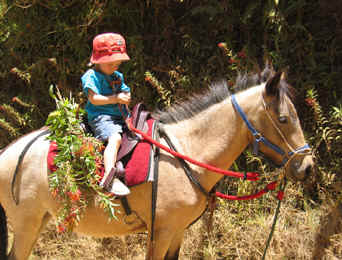 first time horseback ride on horse Pitufa