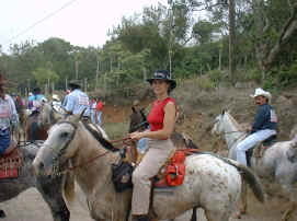horse tope festival in the countryside