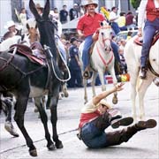 horse festival costa rica