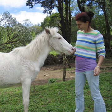 Sabine's Smiling Horse Shiri Monteverde Costa Rica