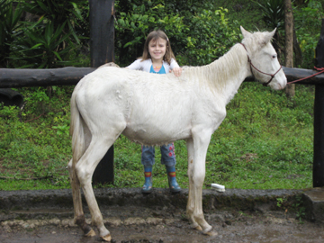 Sabine's Smiling Horse Shiri - 10 months