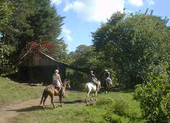 leaving by horse from the farm in Monteverde Costa Rica