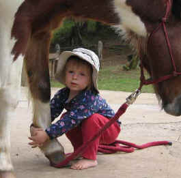 Monteverde Costa Rica horses and children